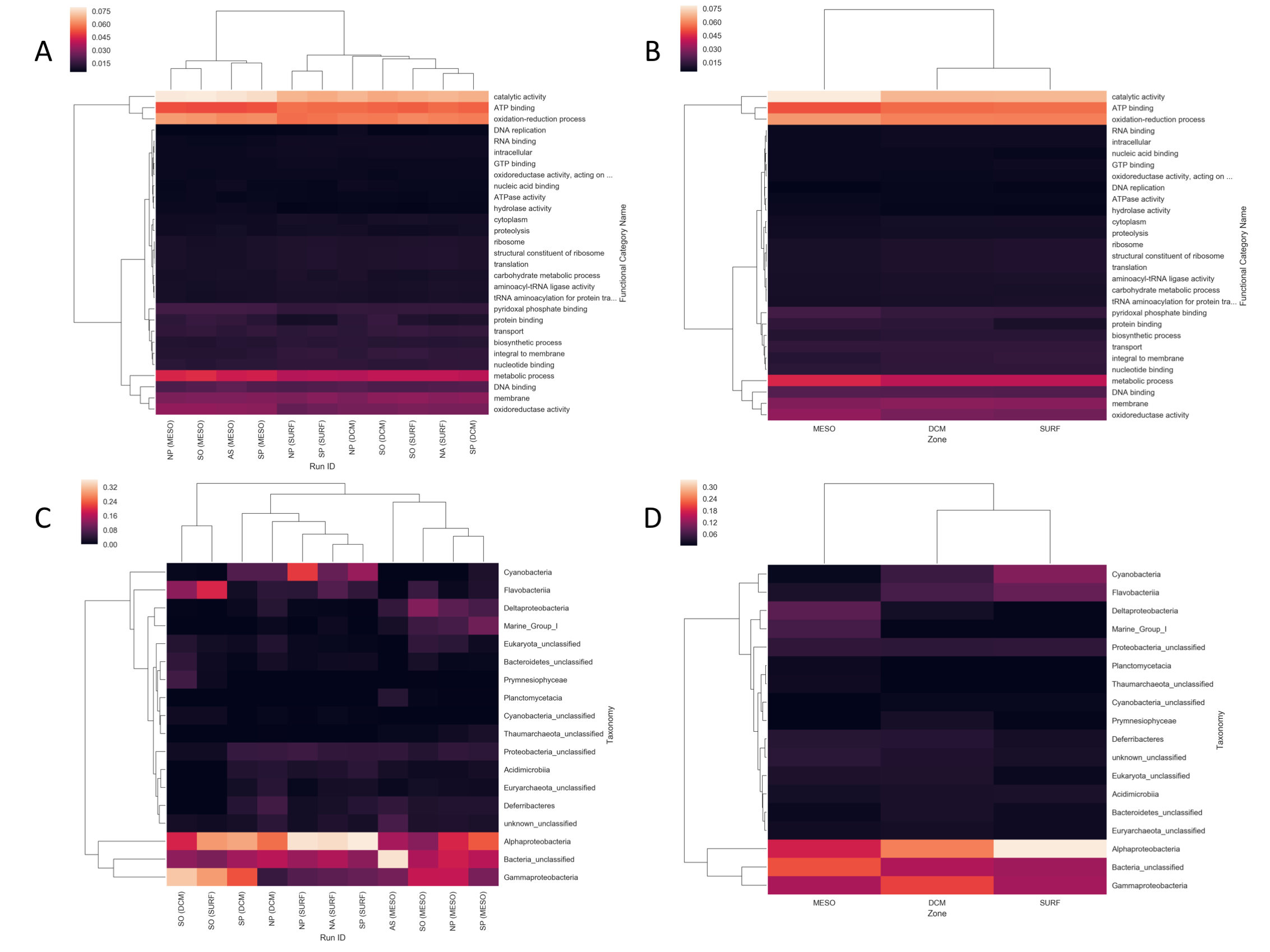 Figure 2: Cluster maps for highlighting proportional abundance of top functional and taxonomic groups. Hierarchal clustering, by euclidean distance, uncovers similarity between groups. (A) All 11 samples vs. functional groups. (B) Mean abundance for samples grouped by ocean layer vs. functional groups. (C) All 11 samples vs taxonomic groups. (D) Mean abundance for samples grouped by ocean layer vs. taxonomic groups.